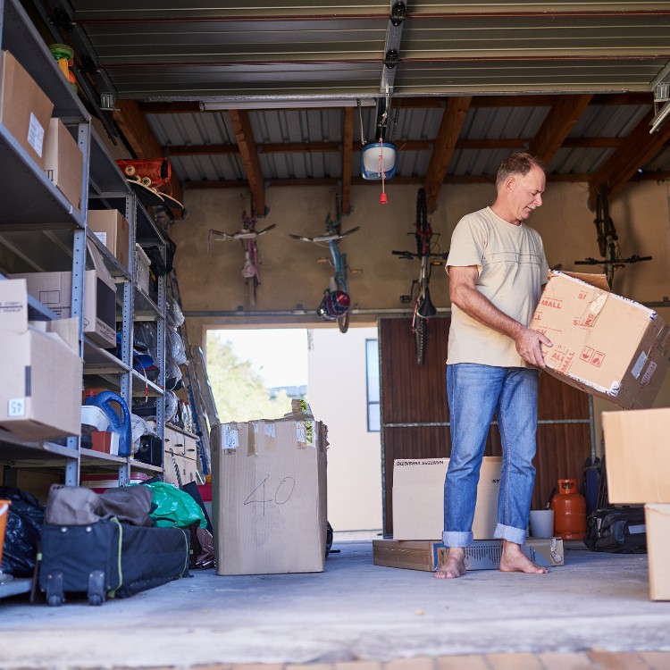 Just another WordPress site