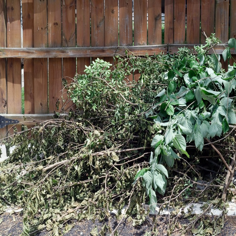 Just another WordPress site