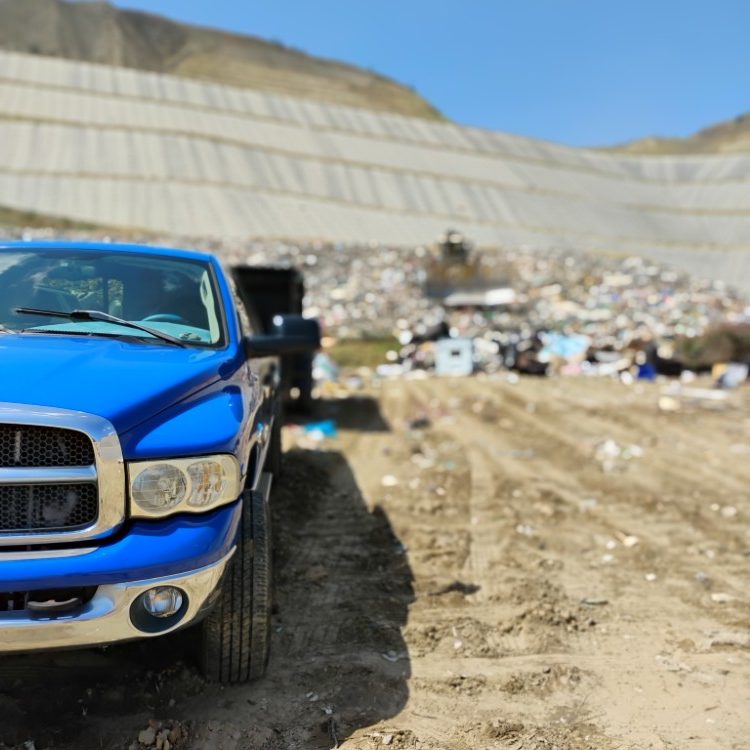 Just another WordPress site